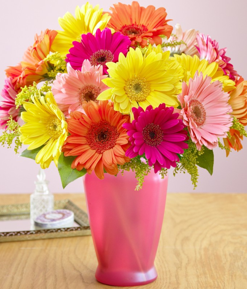 how to take care of daisy flowers in a vase