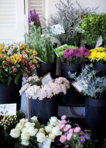 Selection of Fresh Cut Flowers in Milwaukee - Belle Fiori